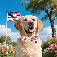 Vista 101 de Unique Style Paws - Collar rosa con hebilla de metal, duradero y lindo para perros pequeños a grandes