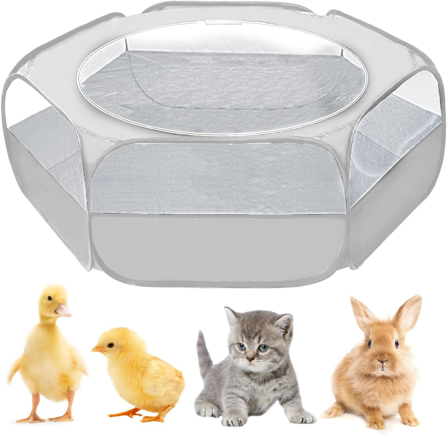Amazon.com: UWE Small Animal Playpen, Chicken Brooder Box with Cover ...