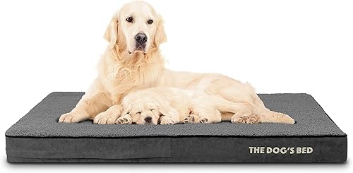 Miniatura 81 de The Dog's Bed - Cama ortopédica de espuma viscoelástica para perro, grande gris y negro, impermeable, cama de apoyo con fundas reemplazables, negro