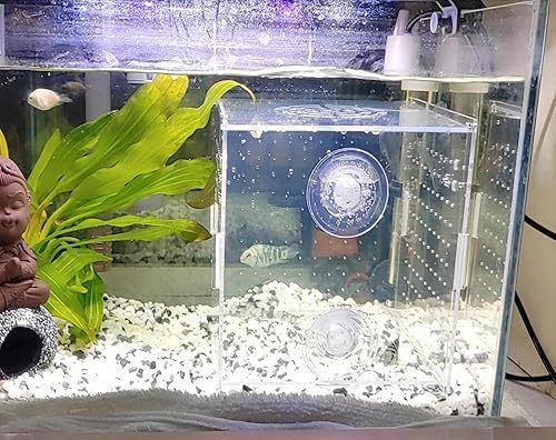 Miniatura 6 de Caja de cría de peces de acrílico, caja de aislamiento de peces de acrílico, separador de peces para acuario, incubadora de incubadora con ventosas