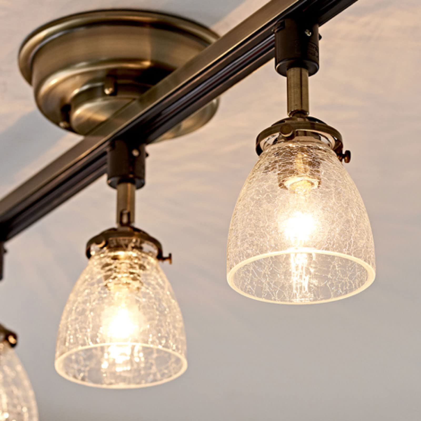 インターフォルム　クリアクラック　ダクトレール　天井照明　4個セット　ライトのみ インターフォルム クリアクラック ダクトレール 天井照明 4個セット