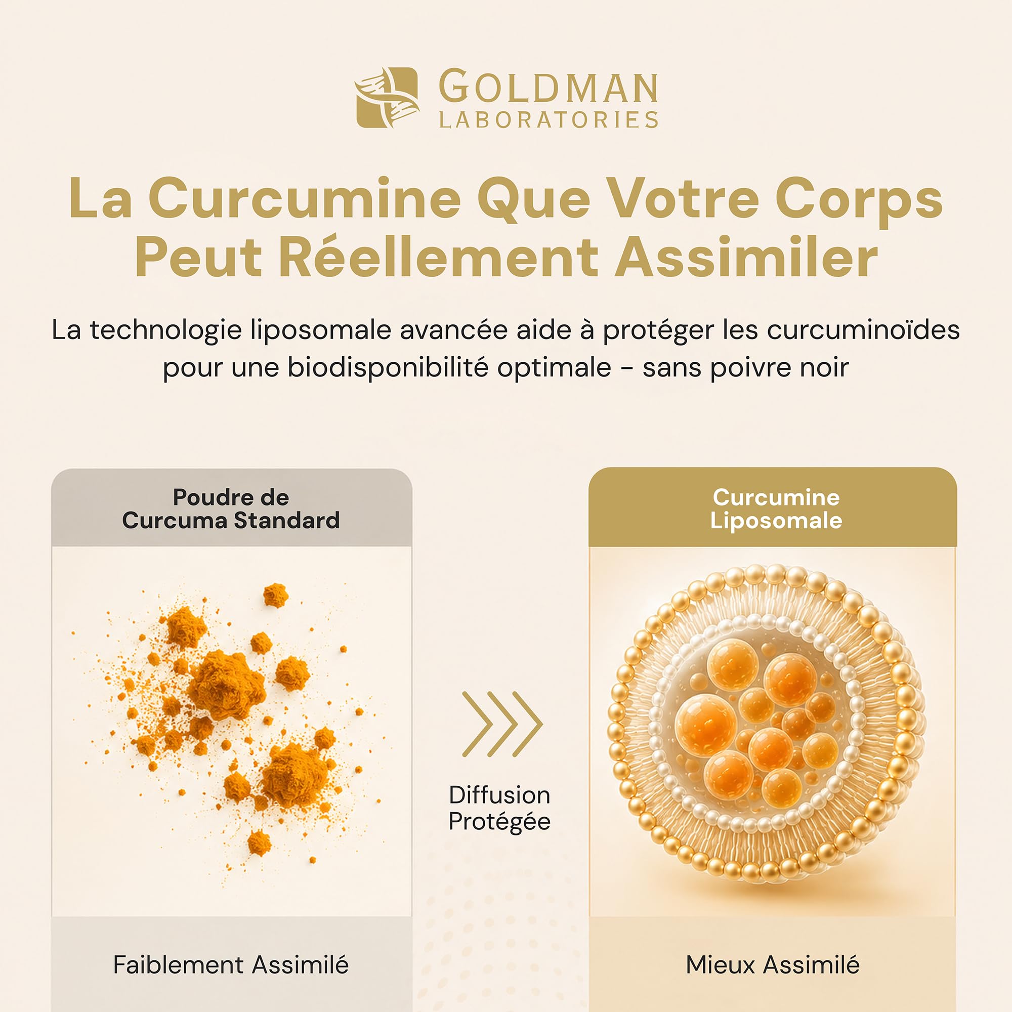 Liposomal Curcuminoids - Goldman Laboratories - Antioxydant - Immunité - Santé articulaire - Végétalien