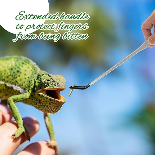 Miniatura 7 de JarThenaAMCS 2 pinzas largas de alimentación de reptiles de acero inoxidable con punta de goma de 10.5 pulgadas, pinzas para acuario rectas y