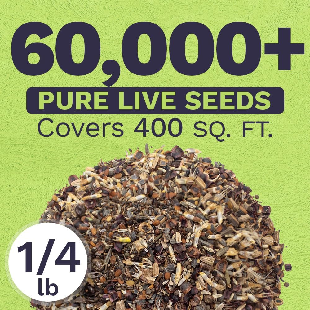 Deer Resistant Wildflower Seed Mixture - Bulk 1/4 Pound Bag - Over 60,000 Deer Tolerant Seeds - Open Pollinated and Non GMO