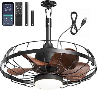 20" Outdoor Ceiling Fan with Light for Patio, IP65 Weatherproof