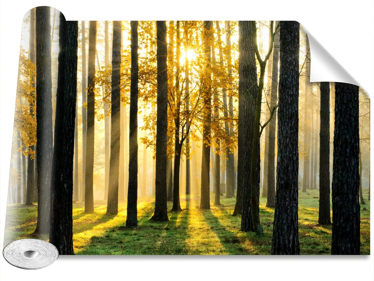 Papier peint auto-adhésif Tulup 104x70cm protection murale forêt
