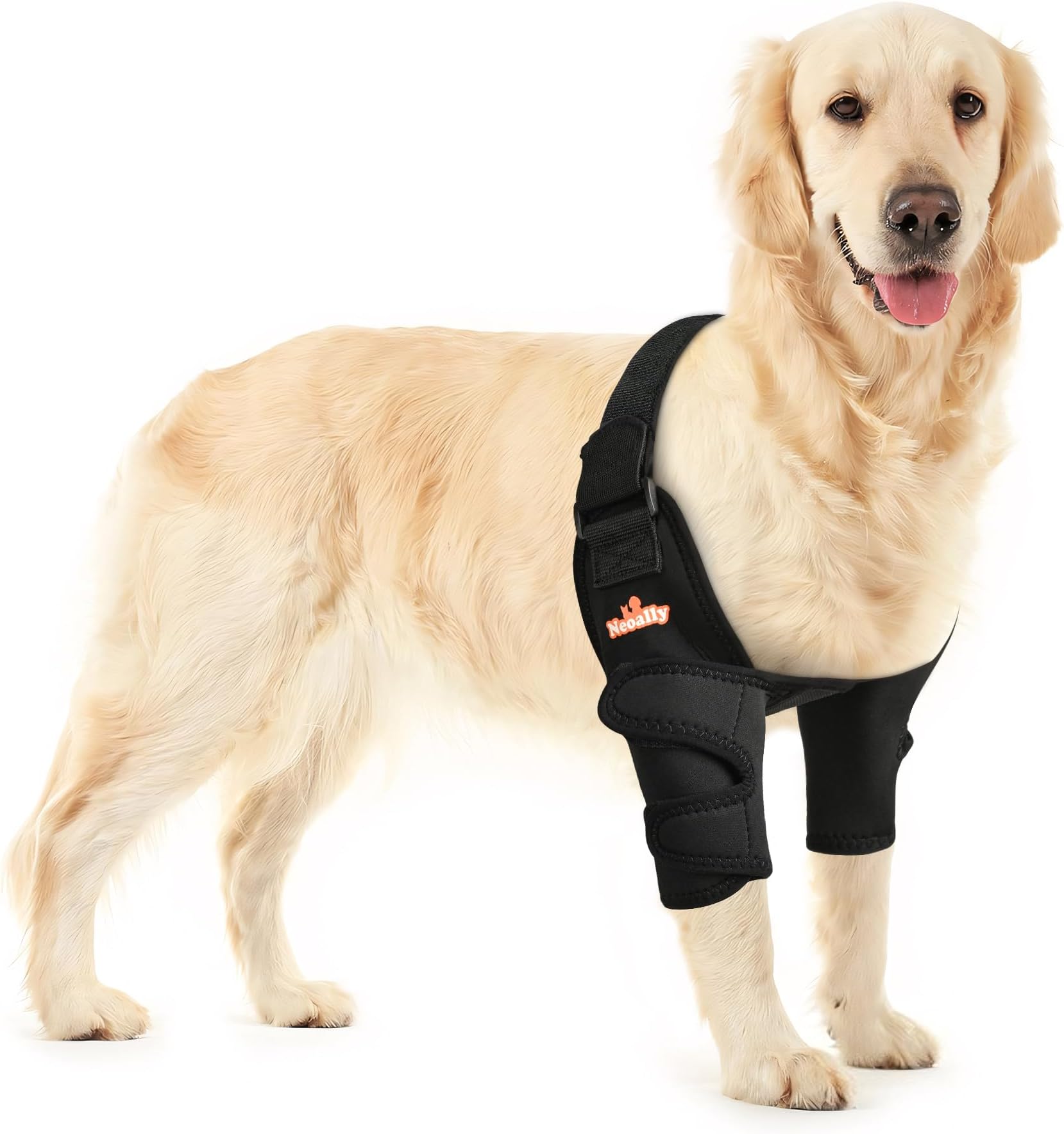 NeoAlly Dog Elbow Brace Protector Pads for Canine Elbow and Shoulder Support Elbow Hygroma, Dysplasia, Osteoarthritis, Elbow Calluses, Pressure Sores and Shoulder Dislocation - L Pair