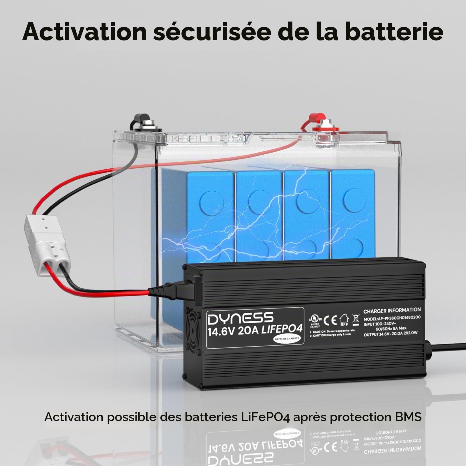 Dyness Chargeur de Batterie LiFePO4 14,6V 20 A pour 12V LiFePO4