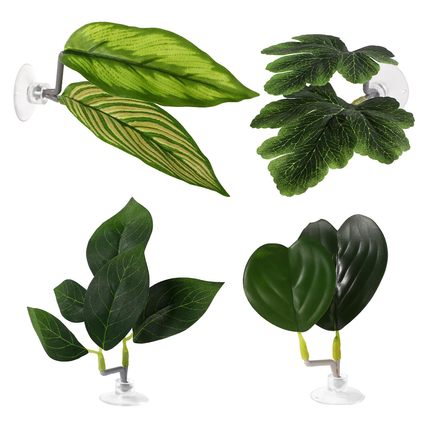 Lyreh 4pcs Feuilles Betta, 4 Styles Feuille Repos Betta avec Ventouse Accessoires Décoration Aquarium pour Simuler Les Habitats Naturels(Vert)