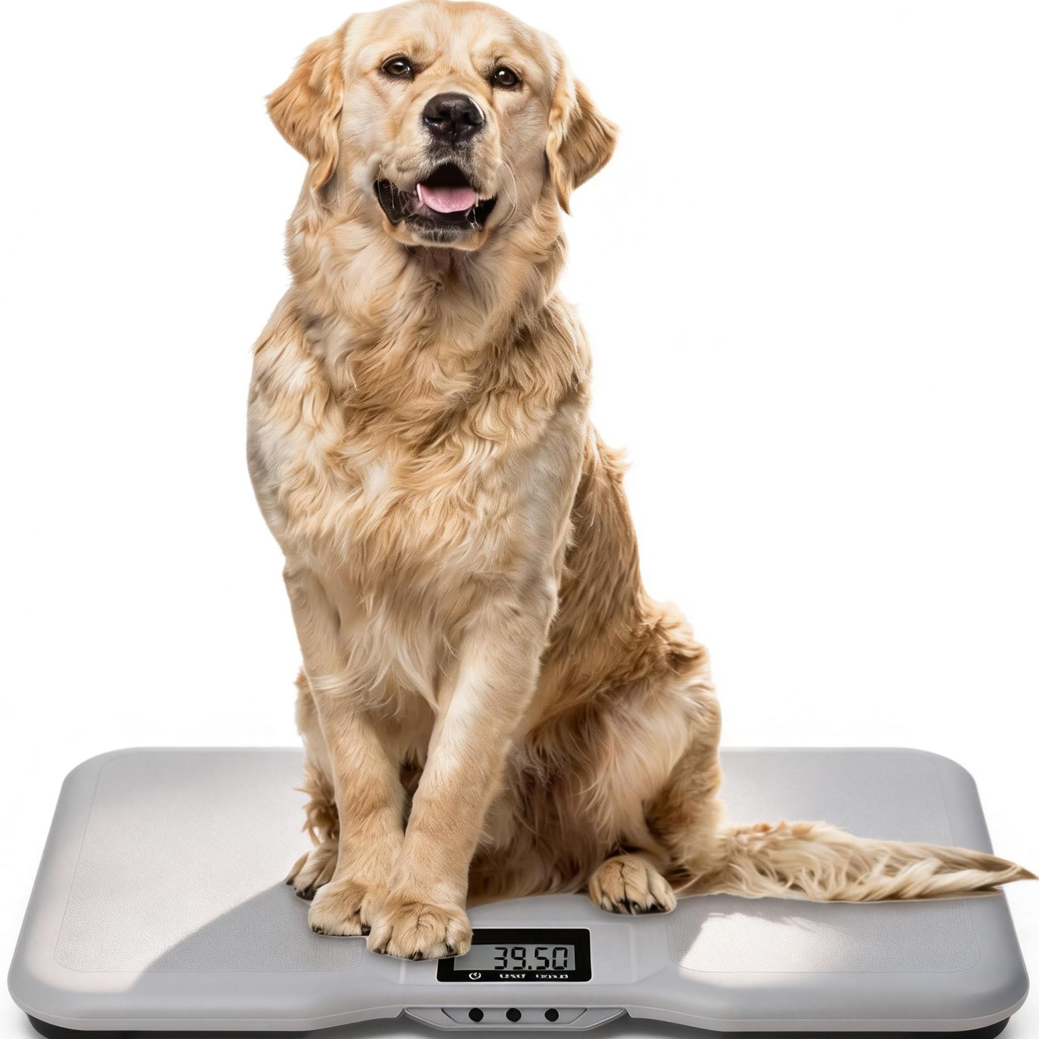 Amazon.co.jp: 大型犬体重計・ラブラドール対応｜150kgまで±0.05%高