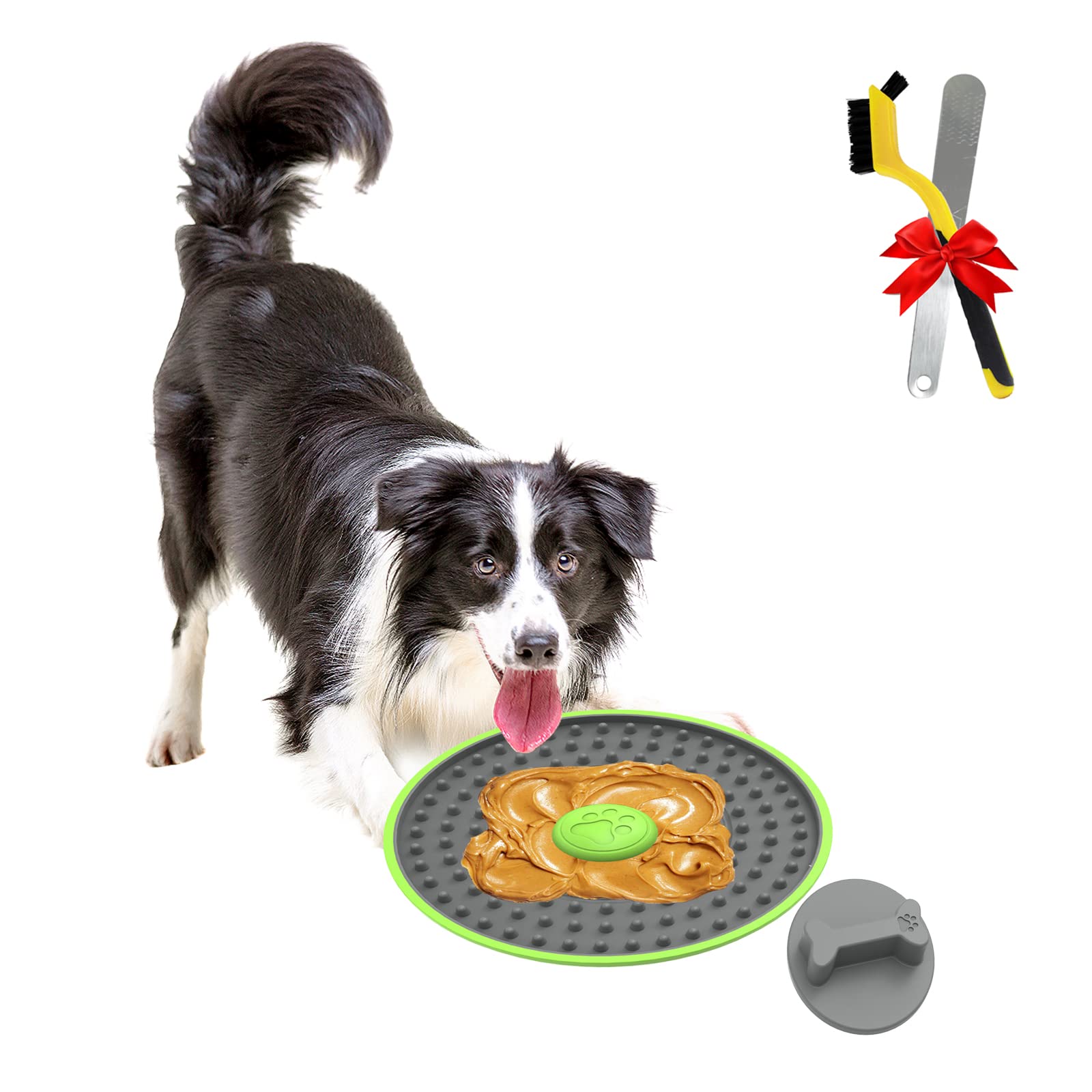 Why Is My Dog Swallowing Continuously Licking