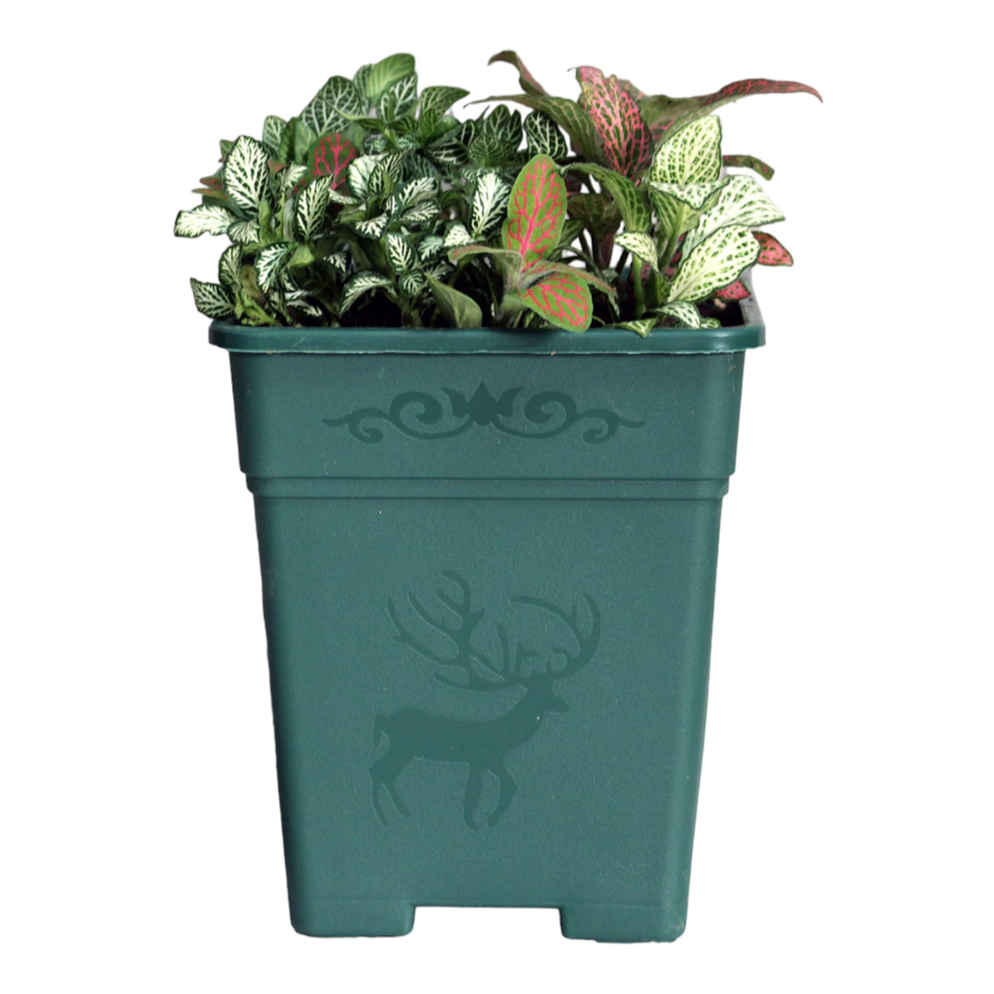 Wholesale Plastic Garden Containers 15 Gallon Nursery Pots Wholesale