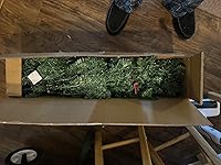 Review Image by Joe Joe