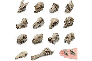 14 Pieces Mini Resin Animal Skull Figurines