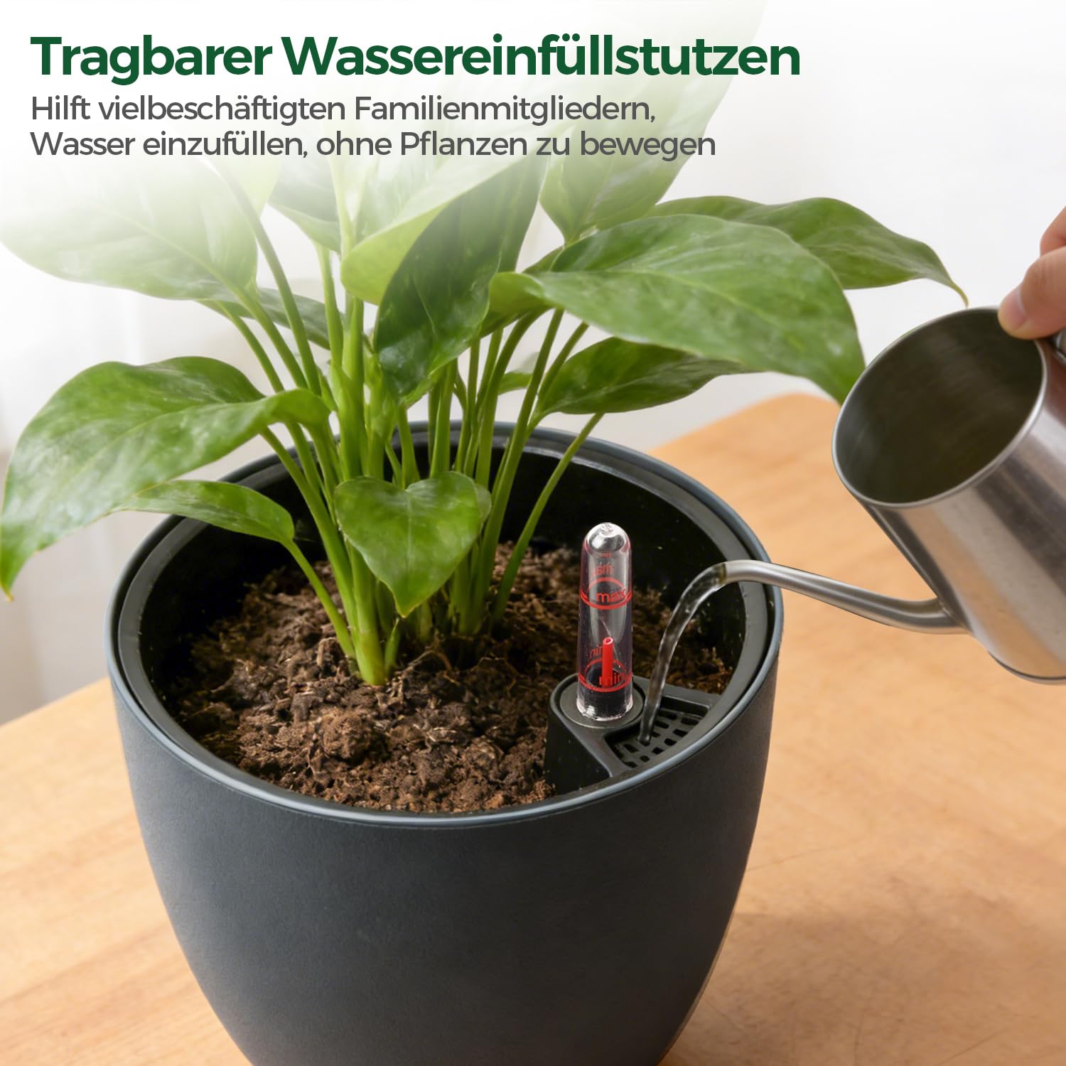 T4U 2Pcs 20cm Selbstbewässerungstopf mit Wasseranzeiger, Praktischer Blumentopf für vielbeschäftigte Anfänger und Gärtner,Plant Pot geeignet für Monstera/Rosmarin für den Innen und Außenbereich (Grau)