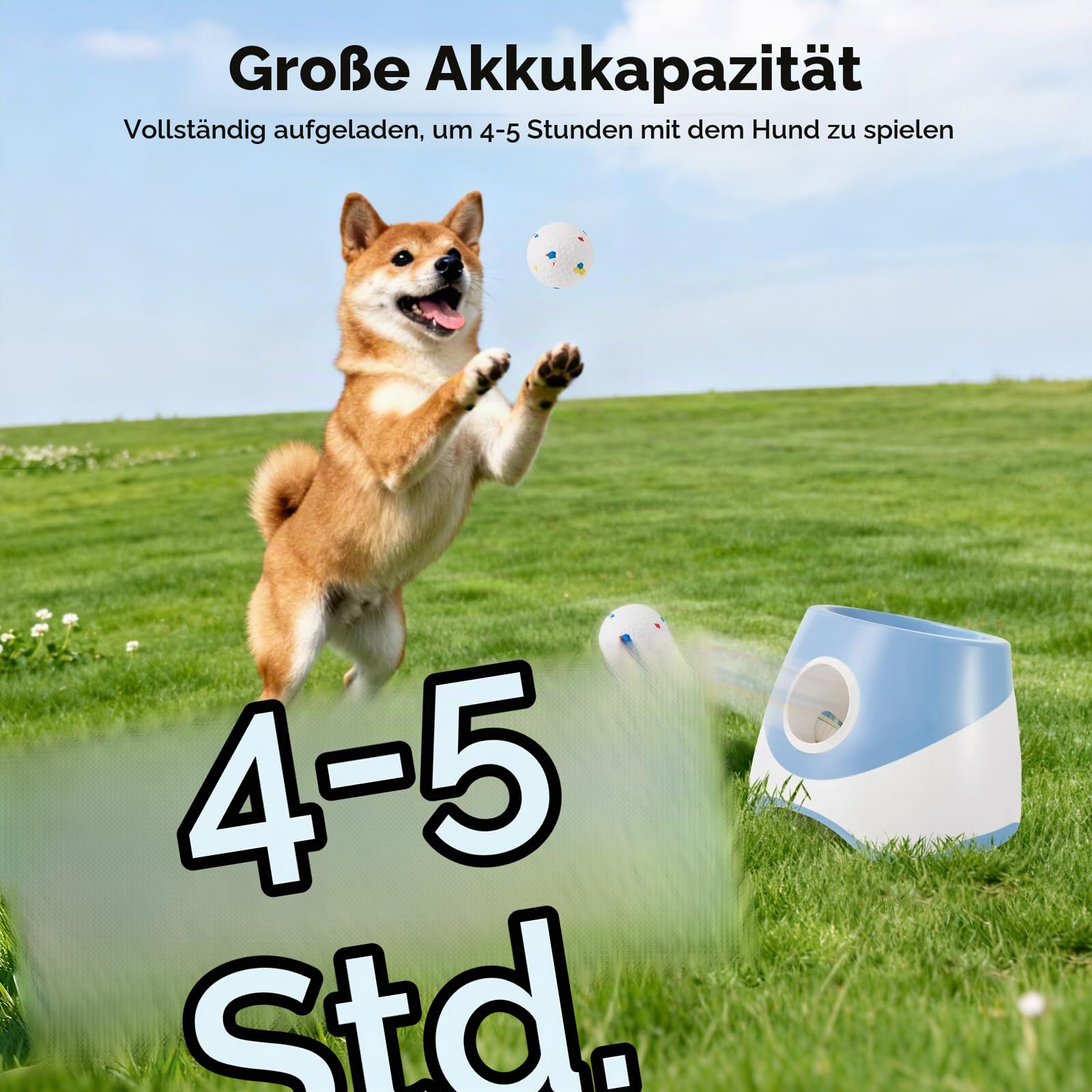 Ballwurfmaschine für Hunde,Mit 6 Tennisbälle,3 Distanzstufen