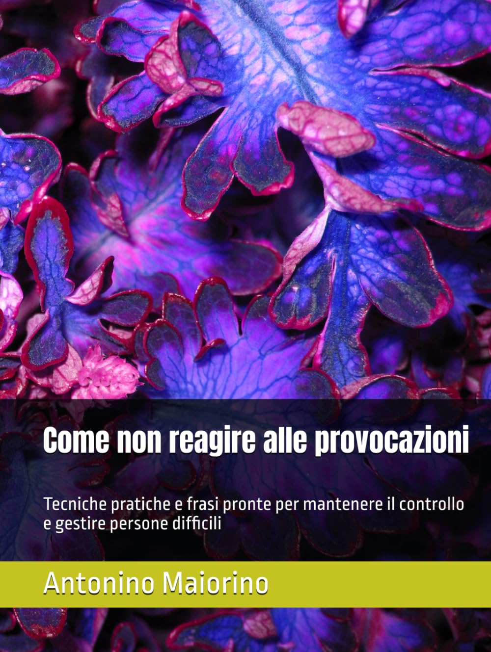 Come non reagire alle provocazioni: Tecniche pratiche e frasi pronte per mantenere il controllo e gestire persone difficili (Perché le persone ti parlano così)