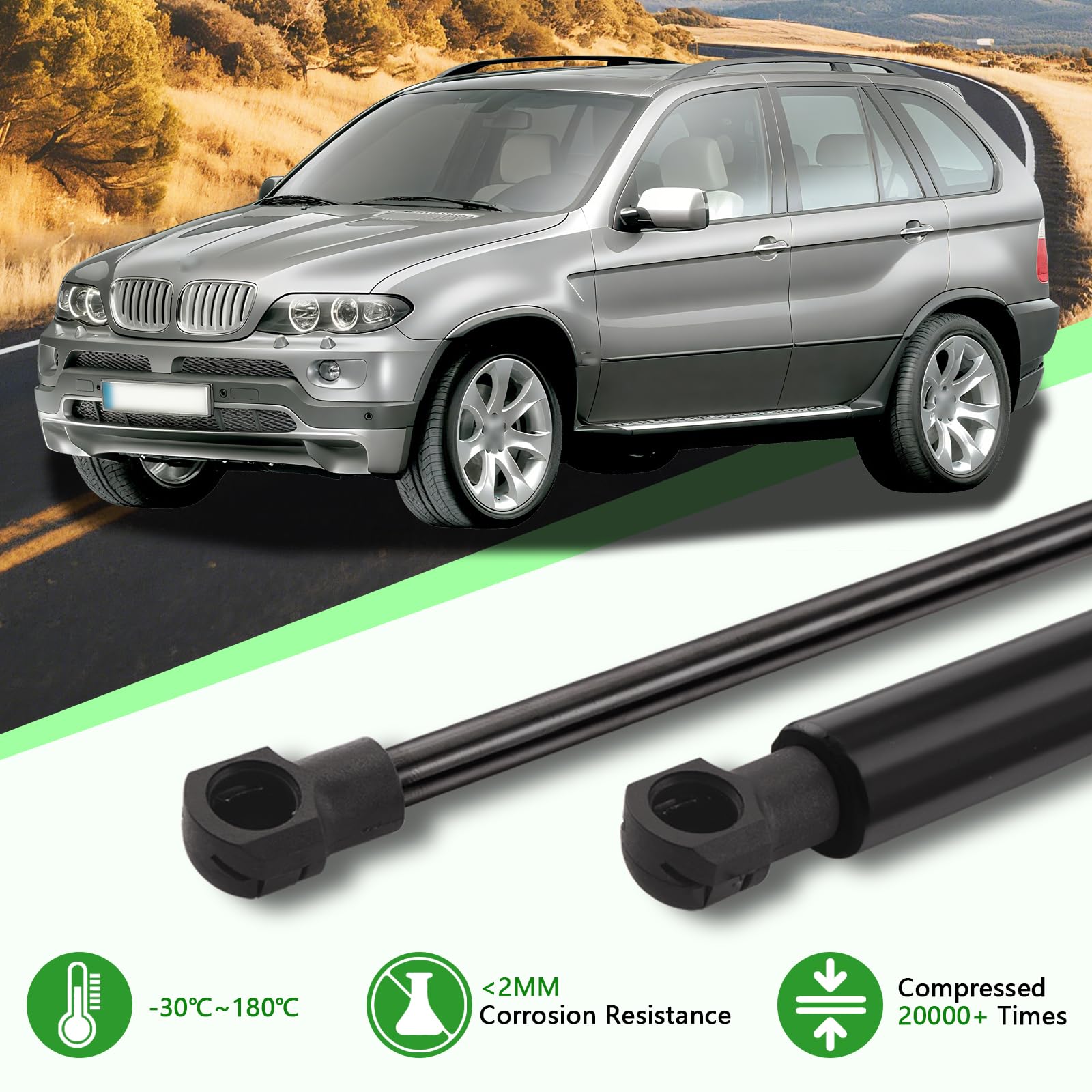 2x Verin Hydraulique de Capot pour BMW X5 E53 All Engine SUV 2000-2006
