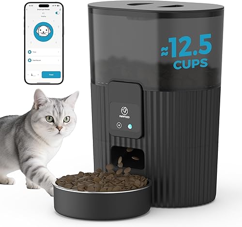 PAPIFEED Comedero automático para gatos de 3.5 L15 tazas, 2.4 G, WiFi, para perros, compatible con Alexa y Echo Timed, dispensador de comida para