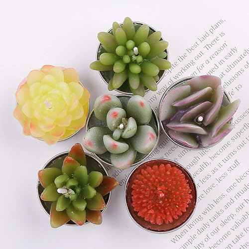Miniatura 3 de Velas de té de cactus suculentas, sin perfume, 6 unidades, surtidas, para fiestas de cumpleaños, decoración de boda, juegos de regalo