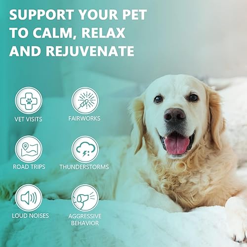 Miniatura 5 de Paquete de 3 - Aceite de cáñamo de máxima potencia para perros y gatos - Ayuda para la ansiedad, el estrés, el dolor, la inflamación, la artritis,