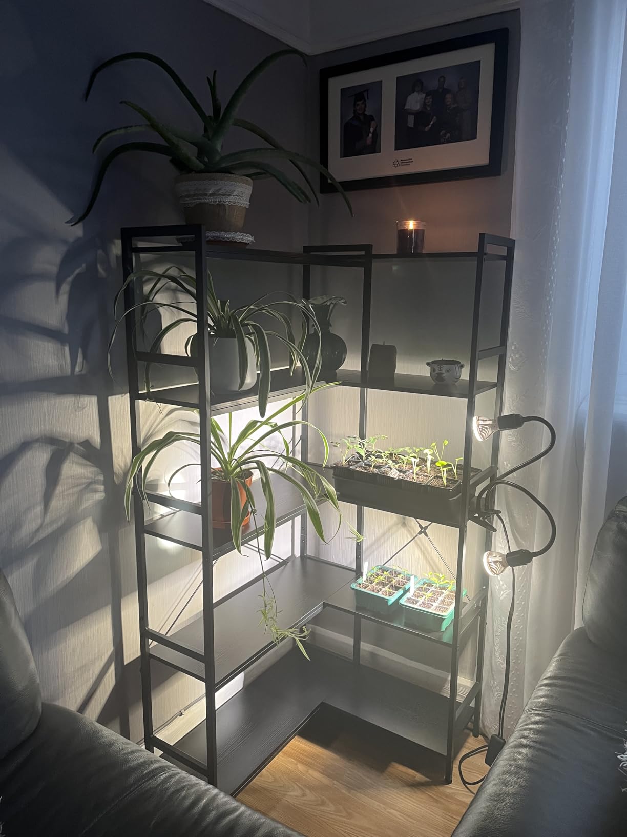 Customer photo