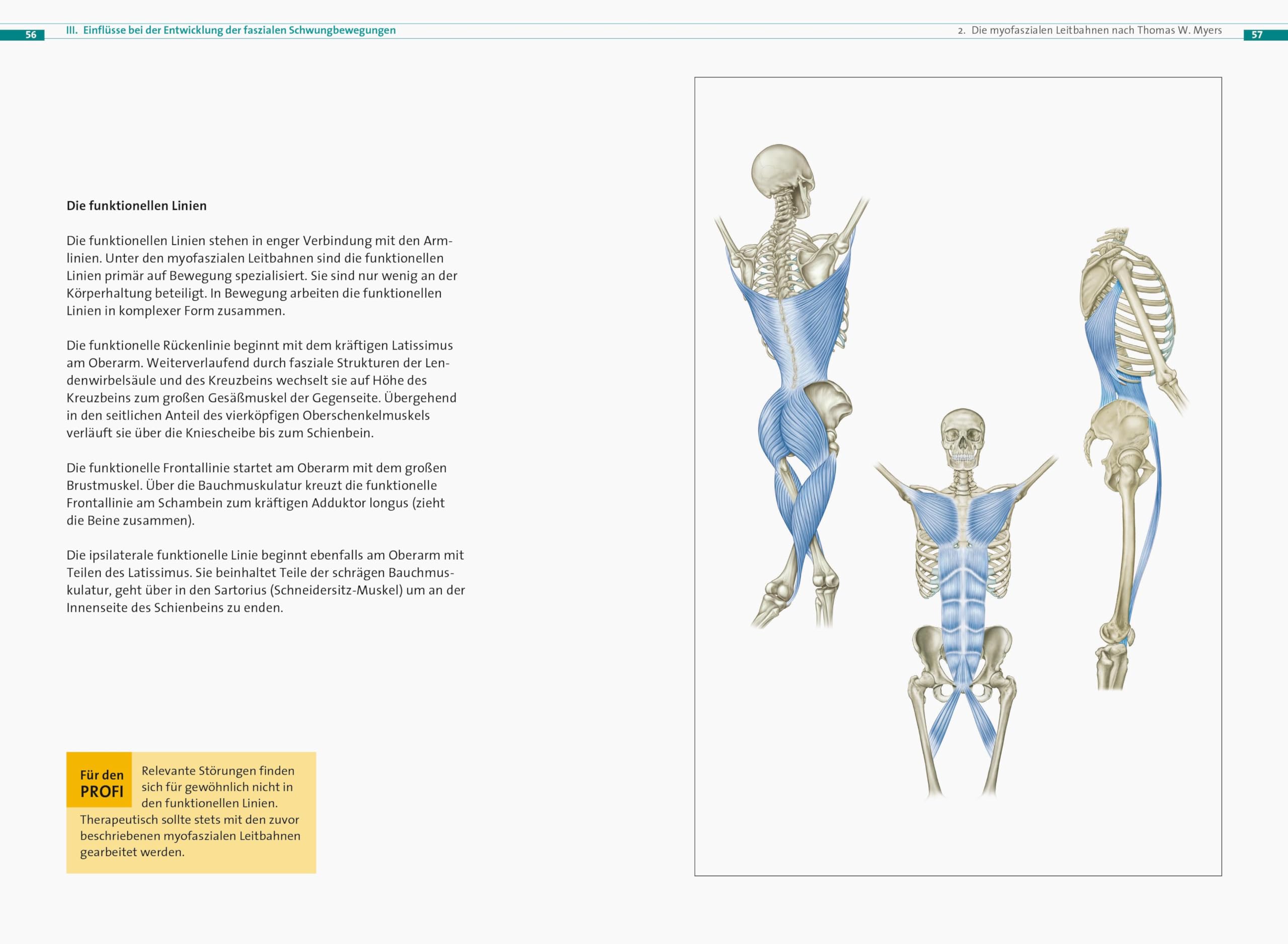 Fasziale Schwungbewegungen. Das neue Bewegungskonzept für gesunde Faszien. Faszientherapie für Zuhause ganz ohne Geräte. Faszientraining ohne Rolle für jedes Alter und Fitnesslevel.