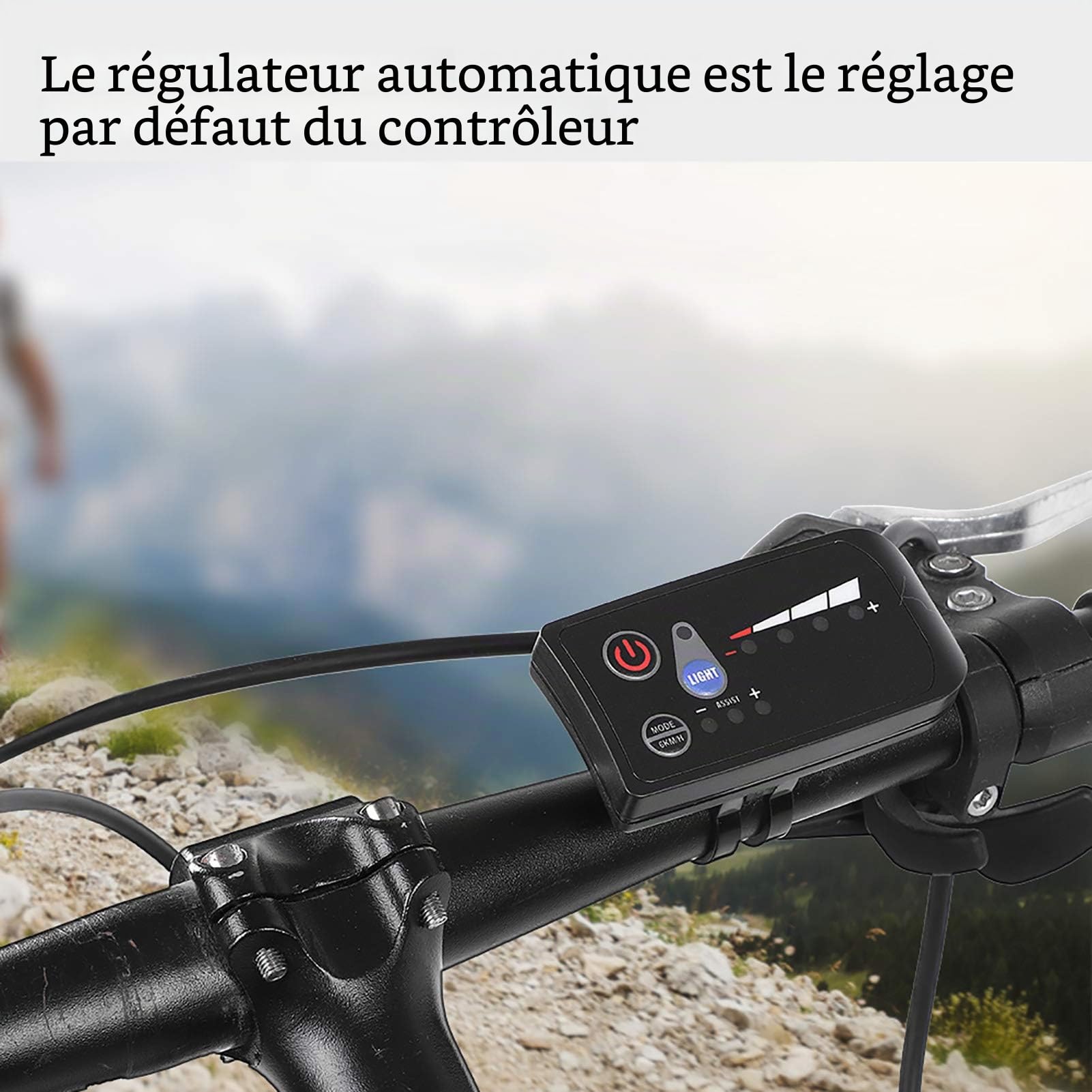 Qii lu Contrôleur sans balais à Moteur 250W/350W 24V 36V 48V Contrôleur électrique sans balais pour Scooter électrique de vélo avec Panneau d'affichage à LED(24V)