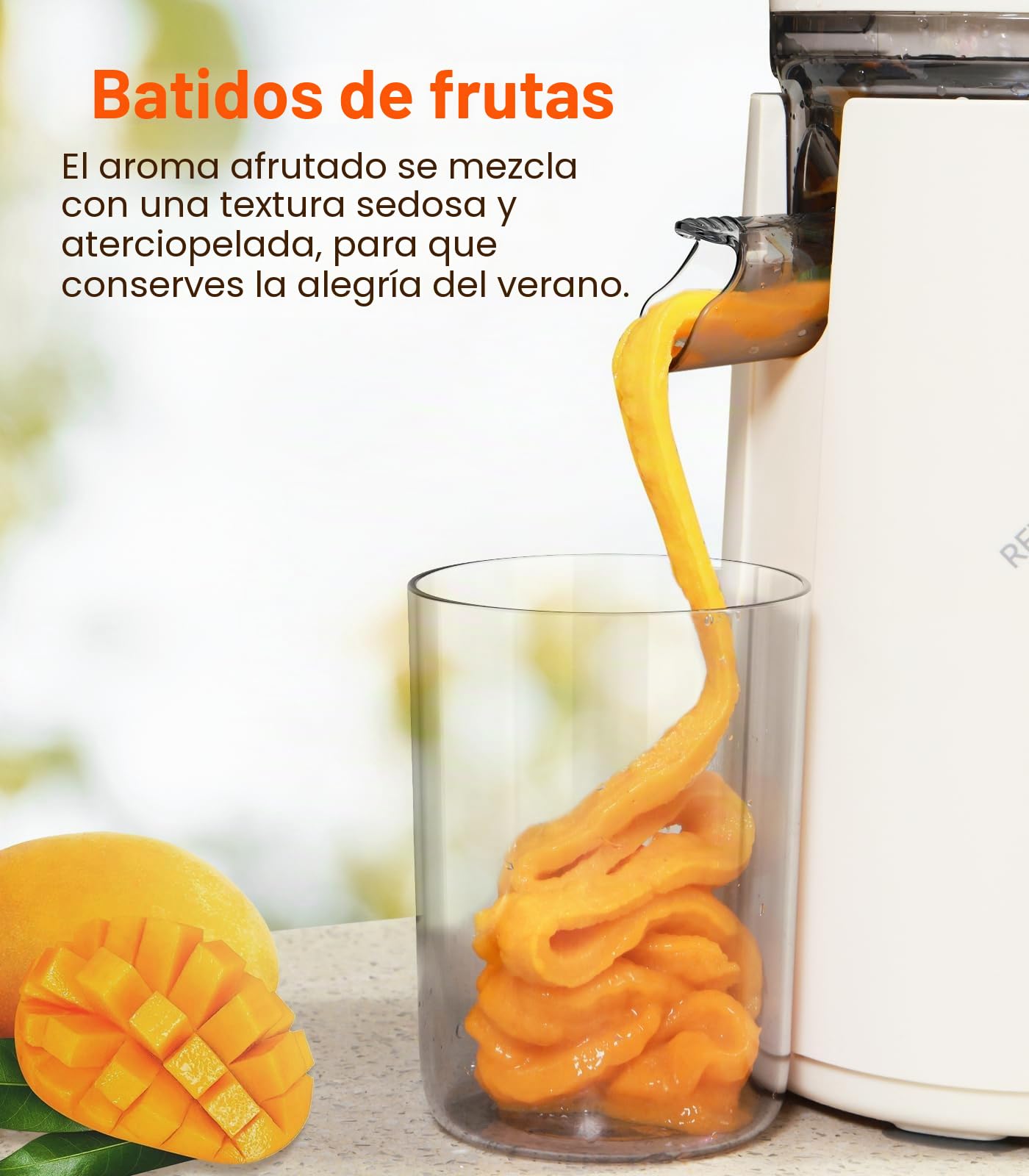 Zasmira Extractor de Zumos, Slow Juicer con Apertura de 120MM, Exprimidor en Frío 2L de Acero Inoxidable para Verduras y Frutas Completas, Fácil de Limpiar, Plata