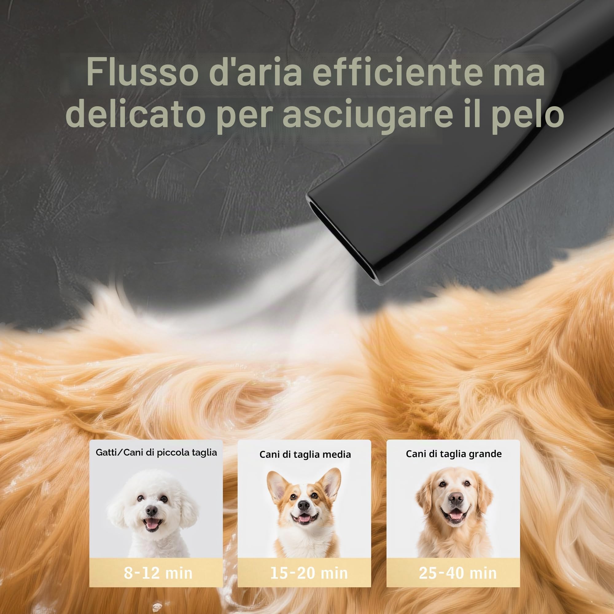 DEWINNER 2 in 1 Asciugacapelli Professionale per Cane, Blower 3200 W con Aspirapolvere, Velocità e Temperatura Regolabili, Silenzioso, 5 Ugelli, Tubo Elastico + Spazzola