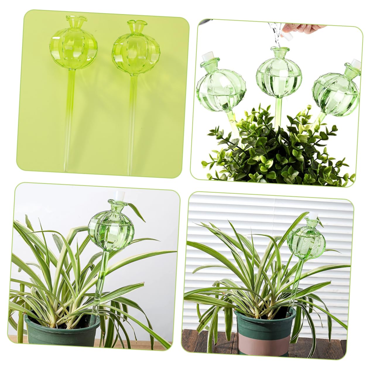 Globe D'arrosage Automatique Cactus Vert 4 Pièces en Verre Borosilicate