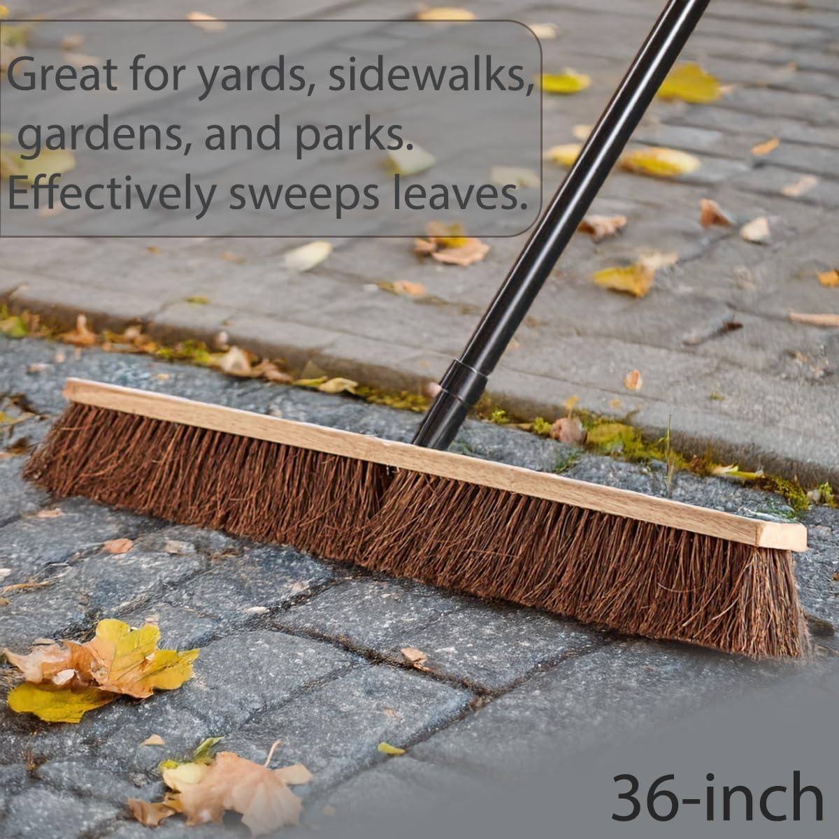 5 Pack Push Broom Head 36 Inch Commercial - Deck Scrub Brush Head with Natural Palmyra Bristles - Stiff Unflagged Broom Head for Rough Surface Cleaning - Heavy Duty Shop Broom Replacement Head