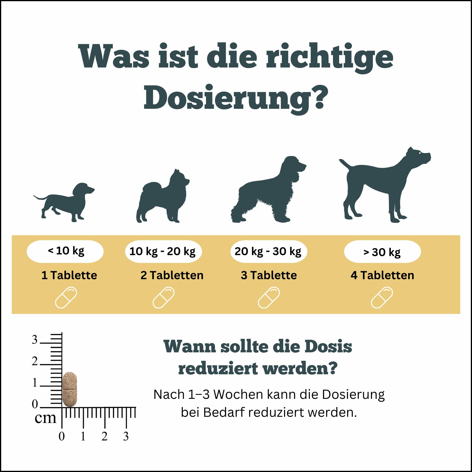Obesitas Stop Dog - Suplement diety dla osób z nadwagą i odchudzaniem - 90 tabletek po 1000 mg