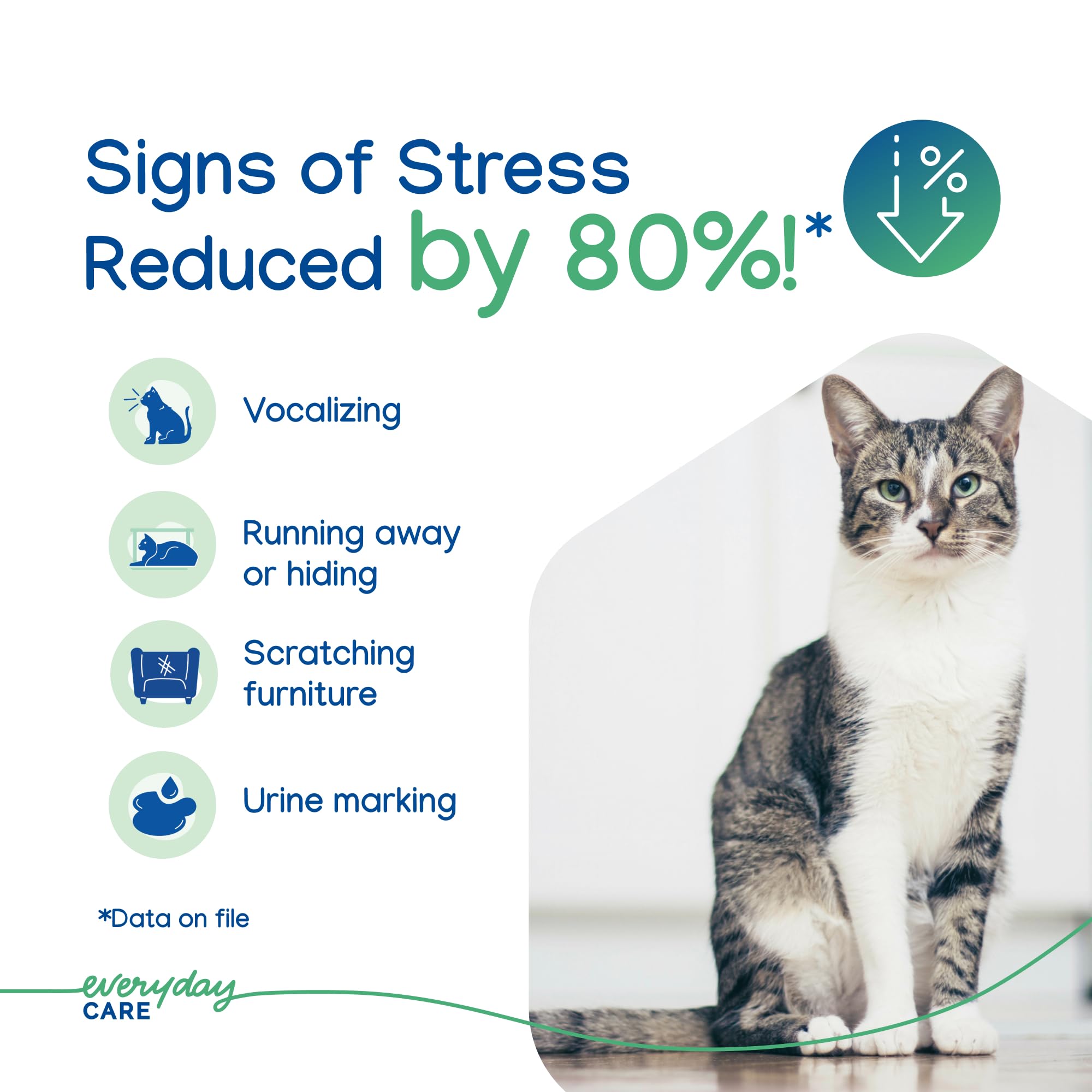 Virbac ZENIFEL™ Gel Diffuser | Managing Stress-Related Behaviors in Kittens & Cats - No Electricity Needed - Lasts Up to 2 Months - image 3