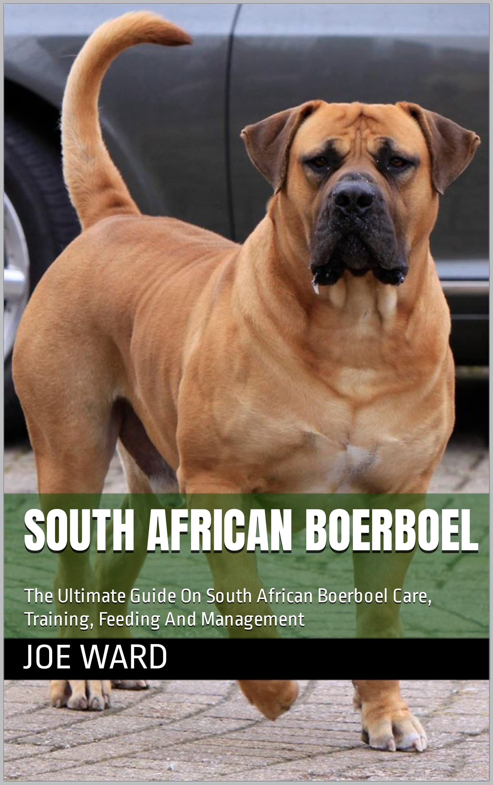 Buy South African Boerboel The Ultimate Guide On South African