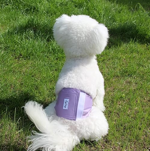Miniatura 7 de JoyDaog Bandas reutilizables para el vientre para perros pequeños, paquete de 4 pañales lavables de alta calidad para cachorros, M, M