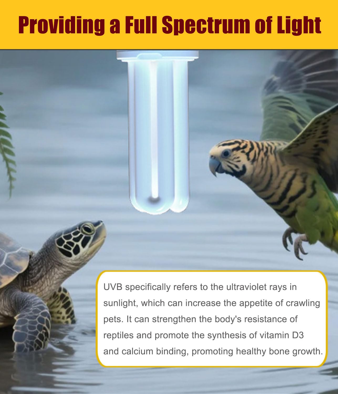 KINGYEENUO E27 Lampadina UVA UVB per Uccelli 2.4 UVB 20W Lampadina Fluorescente Compatta per Tutti i Tipi di Uccelli Cattivi, Luce Solare Naturale Simulazione Uccello Lampadina Pappagallo