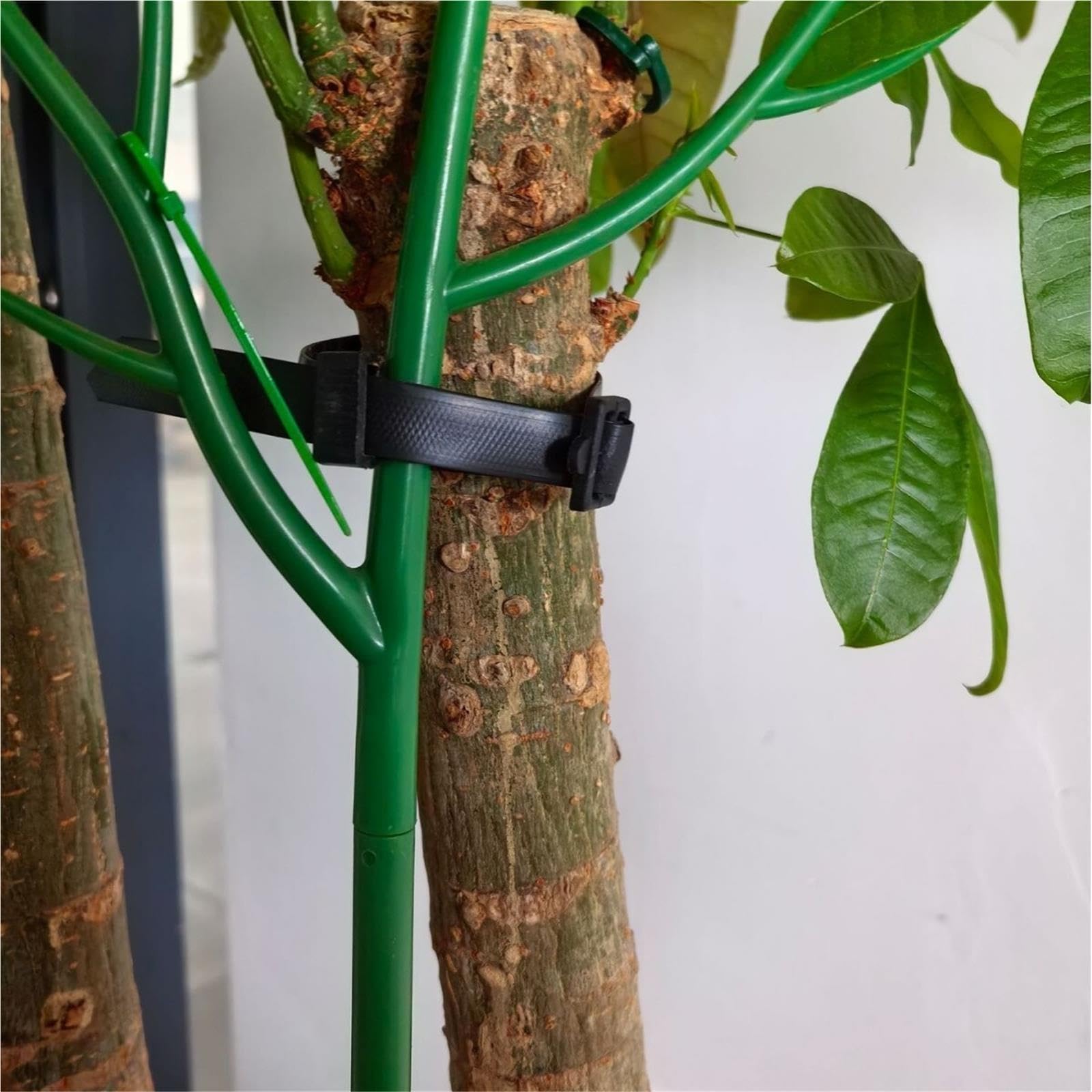 20 Piezas Correas for Árboles De Jardinería