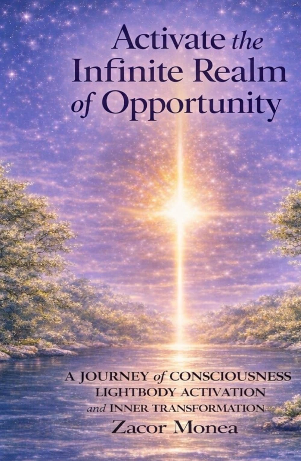 Activate the Infinite Realm of Opportunity: Activating The Light Within