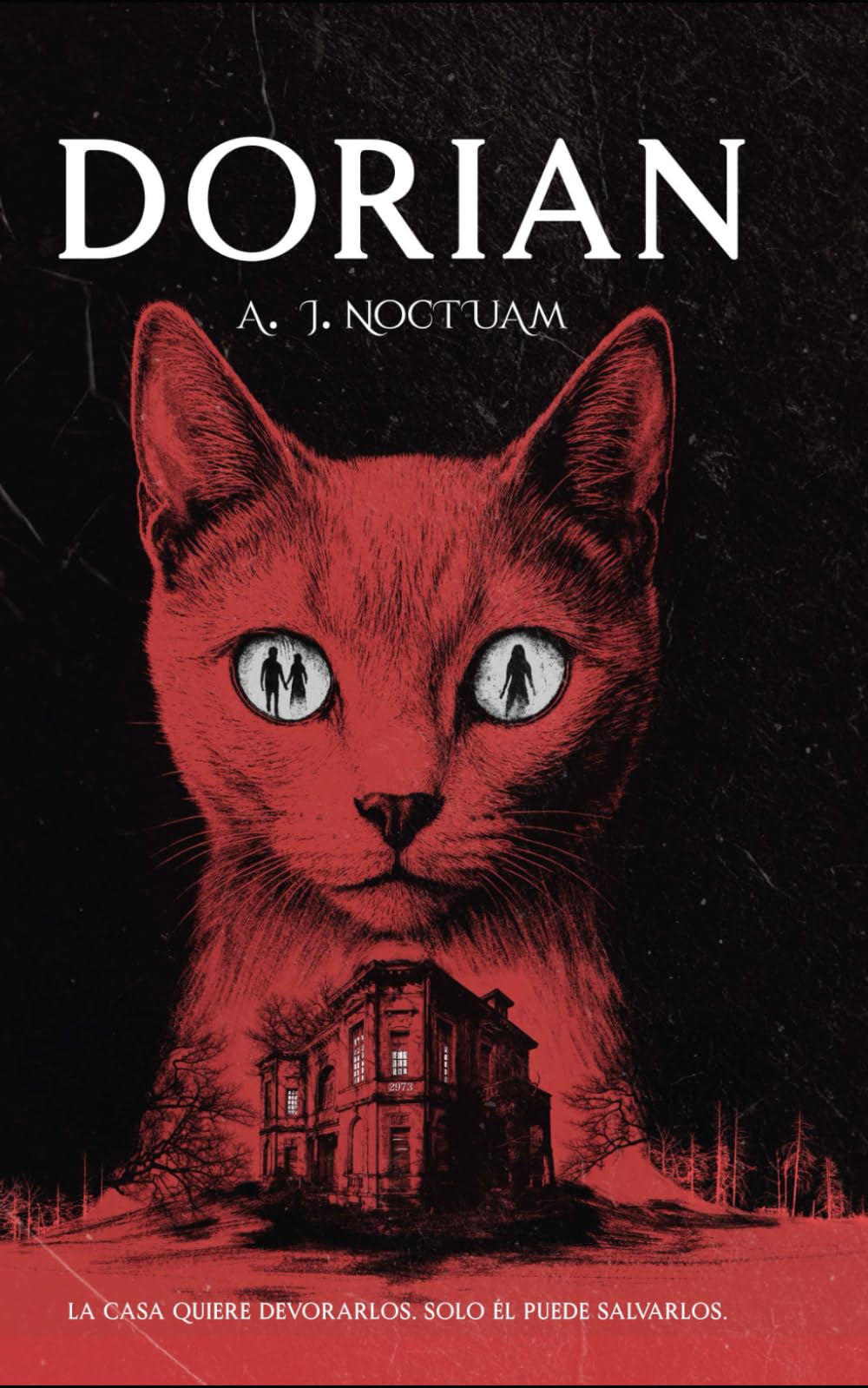 Dorian: El gato callejero que salvo sus vidas. (Universo Noctuam)