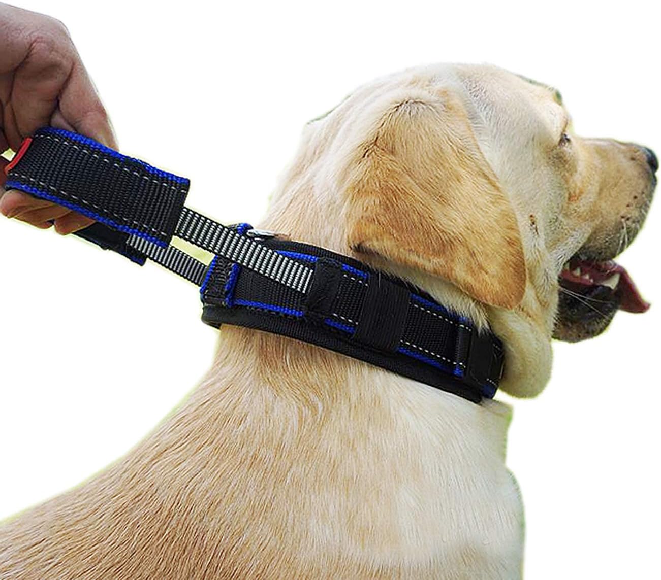 Roadmaker 犬 首輪 猫 ハーネス 大型犬 中型犬 リード チョークカラー 犬のハーネス クイックコントロール ペット 迷子札 犬の散歩をする 用品 犬用 グッズ 無駄吠え防止首輪 3m反射材料 ナイロンロープ 日本初の あきたいぬ リード犬用 調節可能 Roadmaker 犬 首輪 猫 ハーネス 大型犬 中型犬 リード チョークカラー 犬のハーネス クイックコントロール ペット 迷子札 犬の散歩をする 用品 犬用 グッズ 無駄吠え防止首輪 3m反射材料 ナイロンロープ 日本初の あきたいぬ リード犬用 調節可能