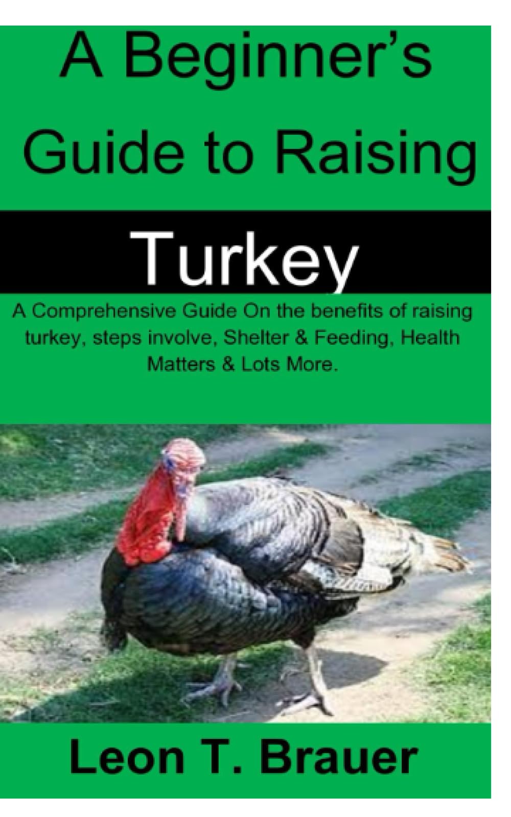 A Beginner’s Guide to Raising Turkey: A Comprehensive Guide On the benefits of raising turkey, steps involve, Shelter & Feeding, Health Matters & Lots More.