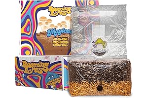 The Magical 5lb All-in-One Mushroom Grow Bag