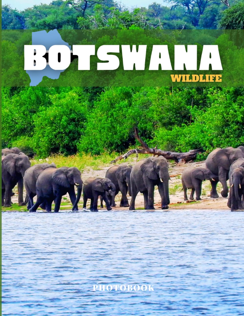 Botswana Photobook: Coffee table book, A collection of stunning images that take you to wildlife of botswana in southern africa, iconic places, and breathtaking landscapes..