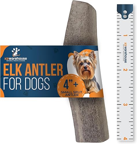 Cuernos divididos para perros, cuernos naturales para masticadores agresivos, cuernos de alce de origen estadounidense para perros pequeños,