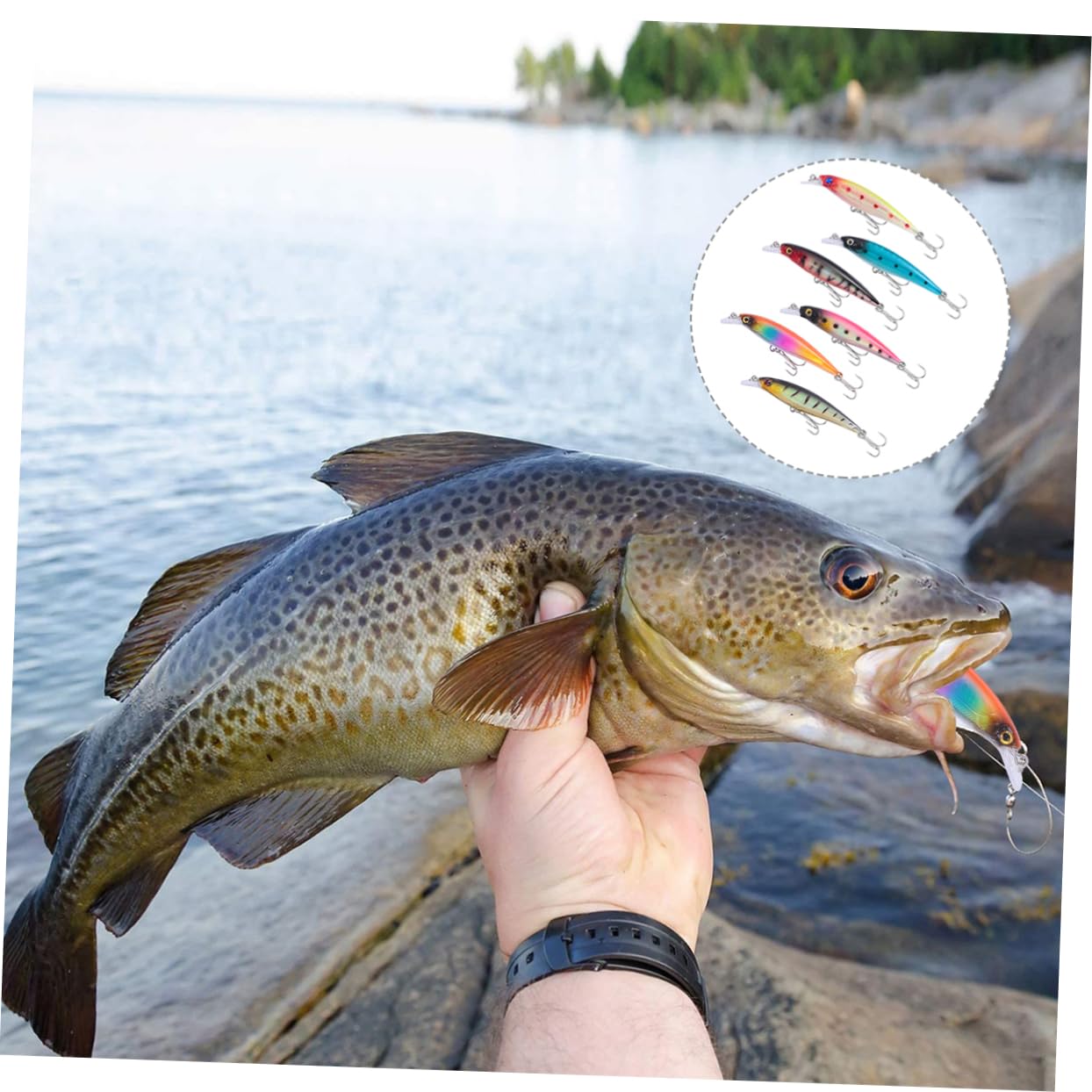 ifundom 3 Series Señuelo Cebo Largo Pequeño Oms Accesorios Señuelos De Pesca Nadar Señuelo De Natación Biónico Señuelo De Pesca En Hielo Material Plastico Abs Color Aleatorio 6 Piezas*3