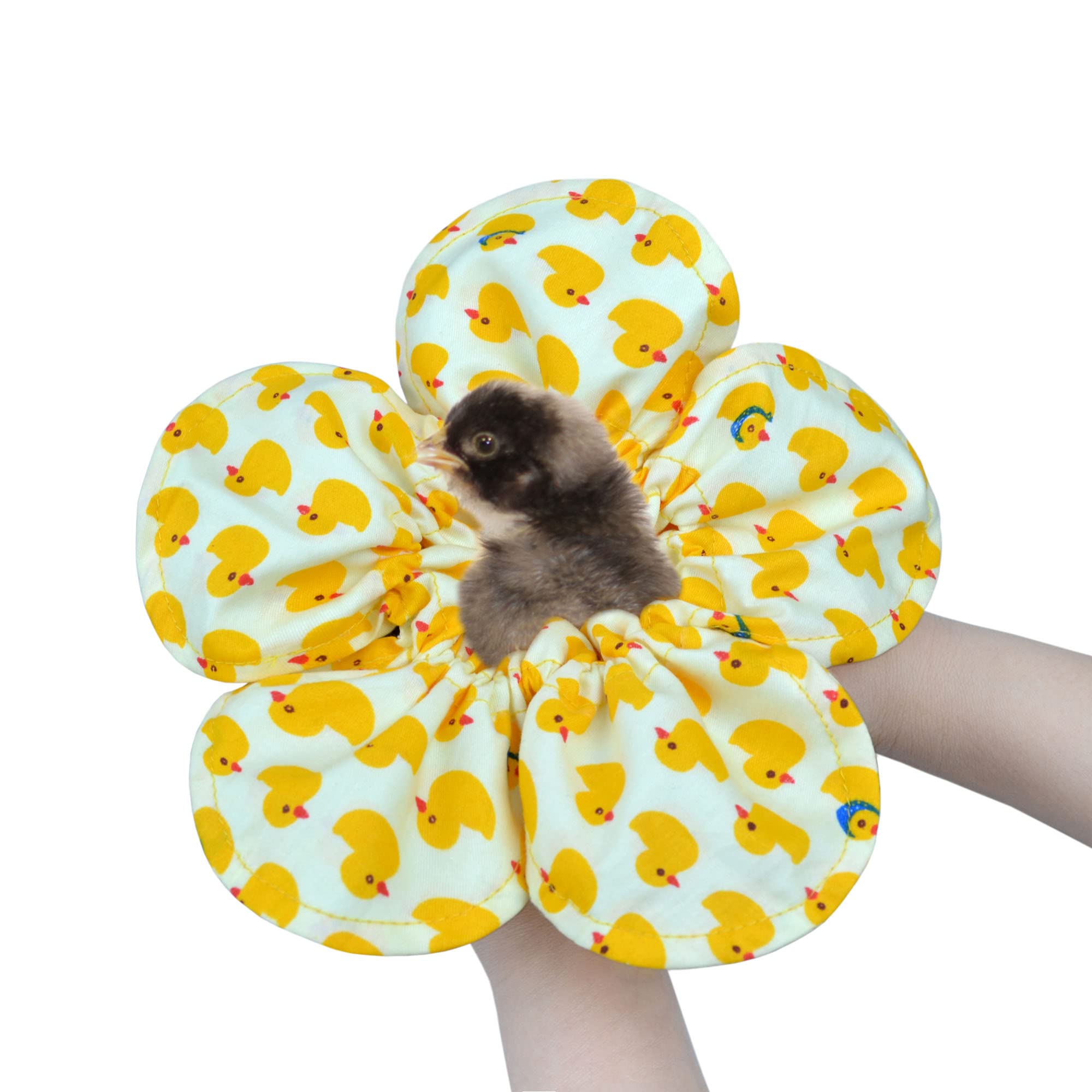 Chick Pouch Chick Holder Diaper for Chicken Hen Chick Protector Observation