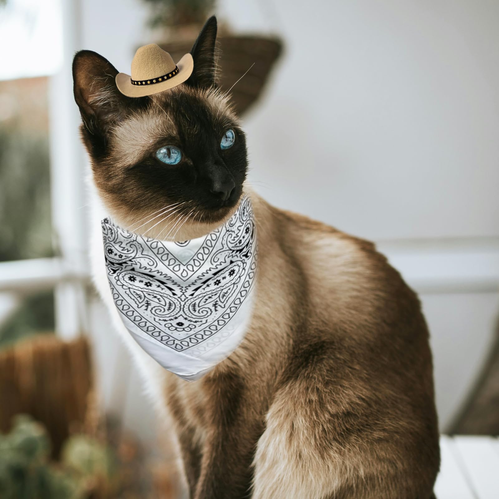 AWOCAN Dog Cowboy Hat Cat Cowboy Hat Mini Cowboy Hat for Dogs Cat Pet Cowboy Costume with Bandana Scarf Holiday Halloween Pet Party Decoration (Khaki - Image 2