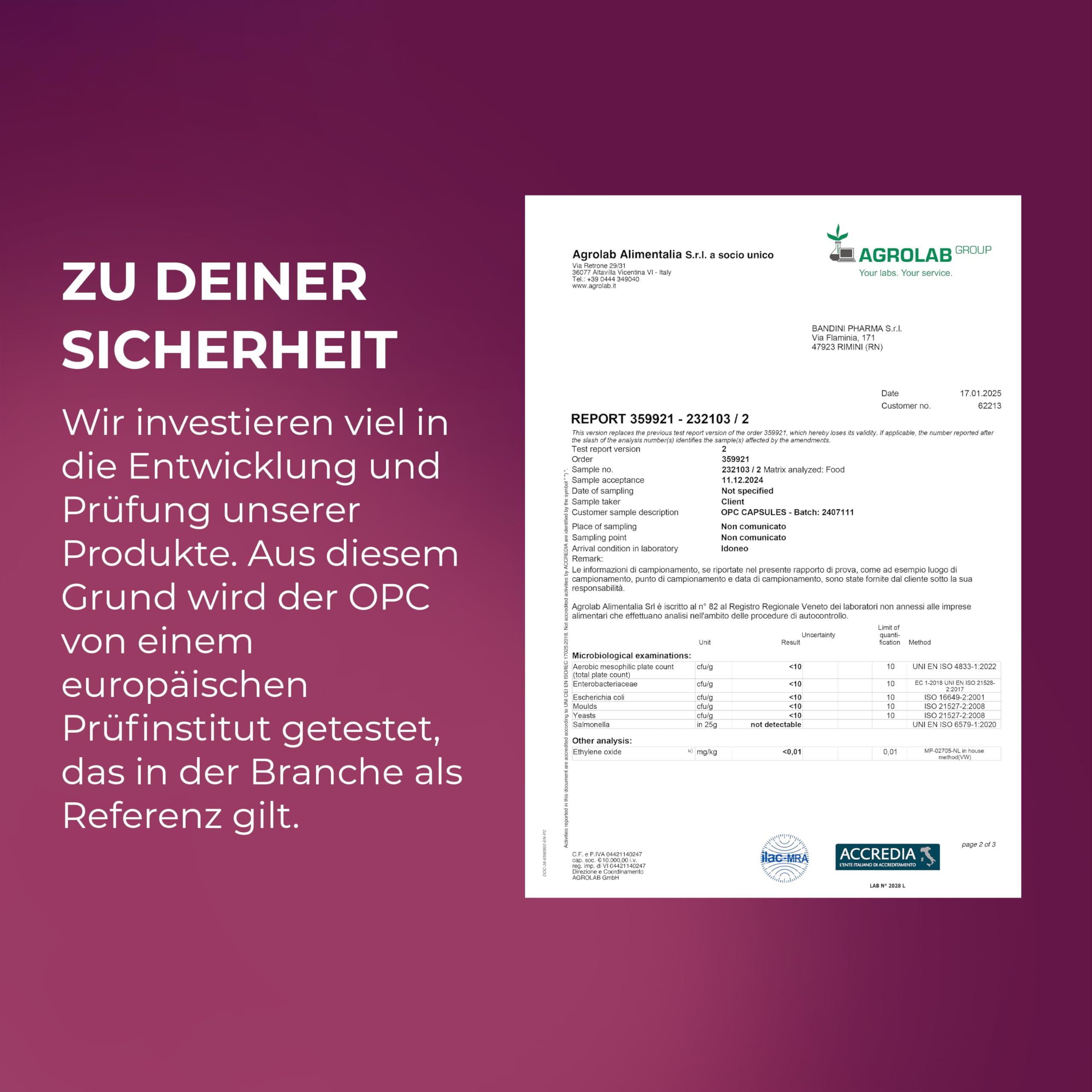 Bandini® OPC Traubenkernextrakt 365 Kapseln | Hochdosiert mit 1076mg je dosis | Höchster Gehalt nach HPLC | Aus italienischen Weintrauben | 1052mg Extrakt mit 999,4mg OPC + 24mg Vitamin C | 6 Monate