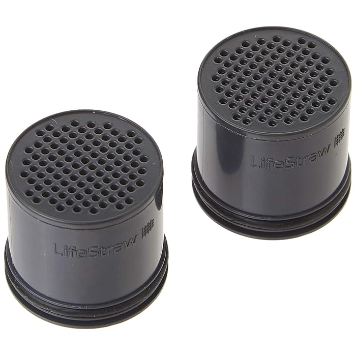 Buy LifeStraw Carbon Capsule Replacement Filter for Go Bottle 2Stage